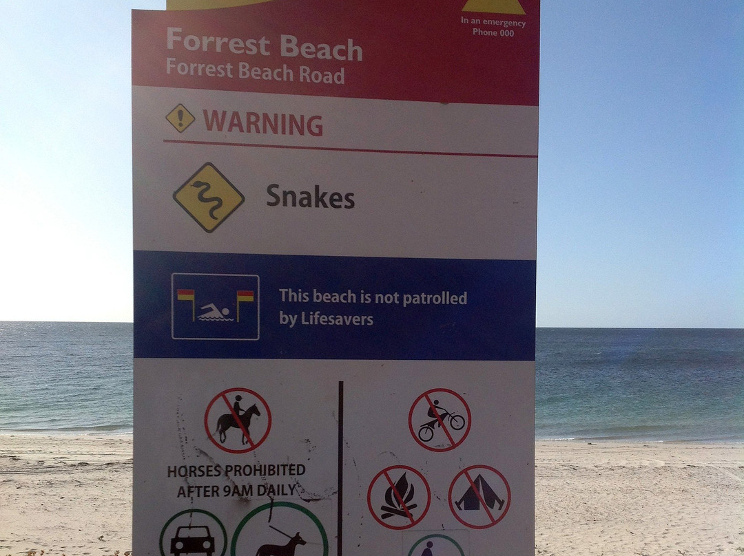 Forrest Beach-Capel必去景点