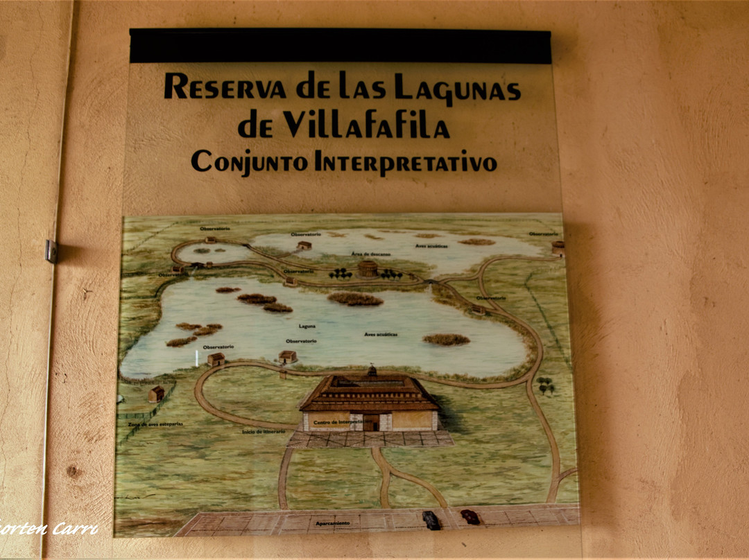 Reserva Natural de las Lagunas de Villafafila景点图片