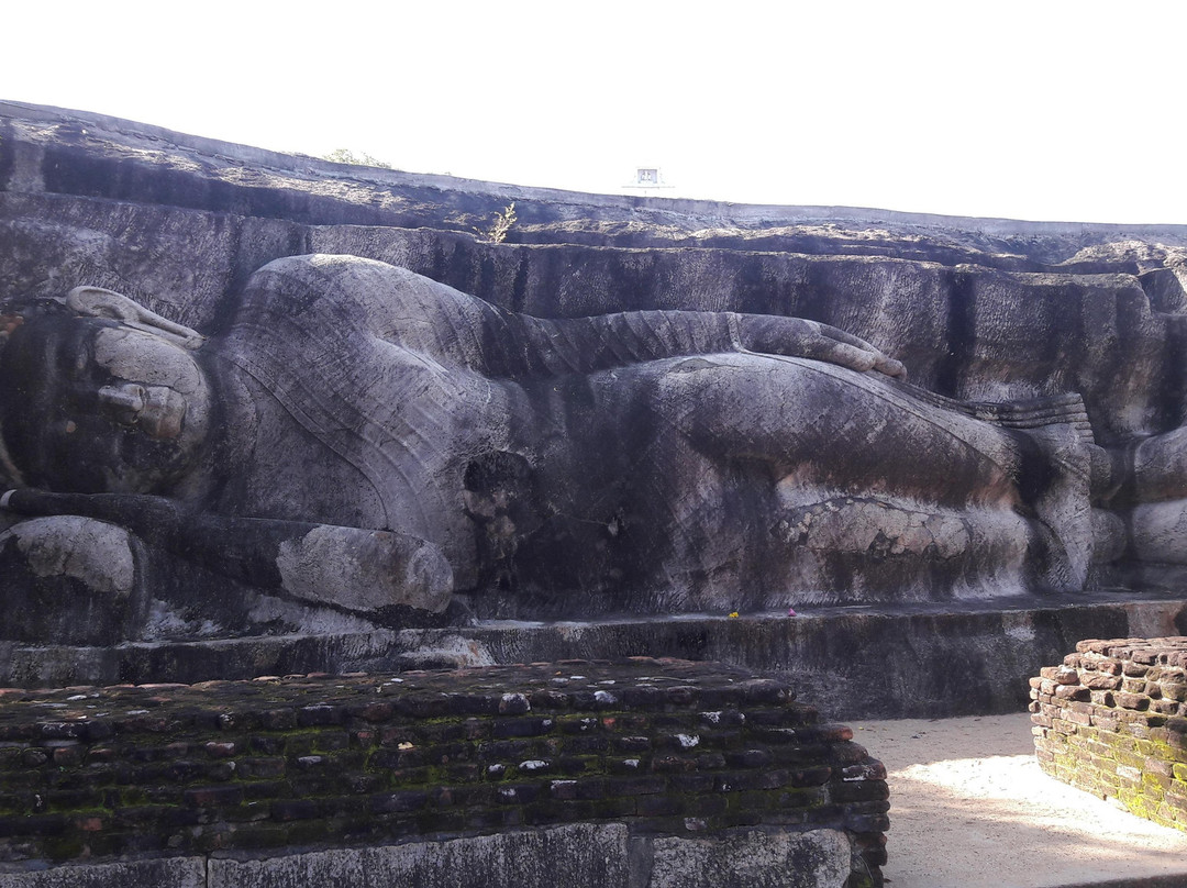 Island Splendour (Pvt) Ltd-Panadura必去景点