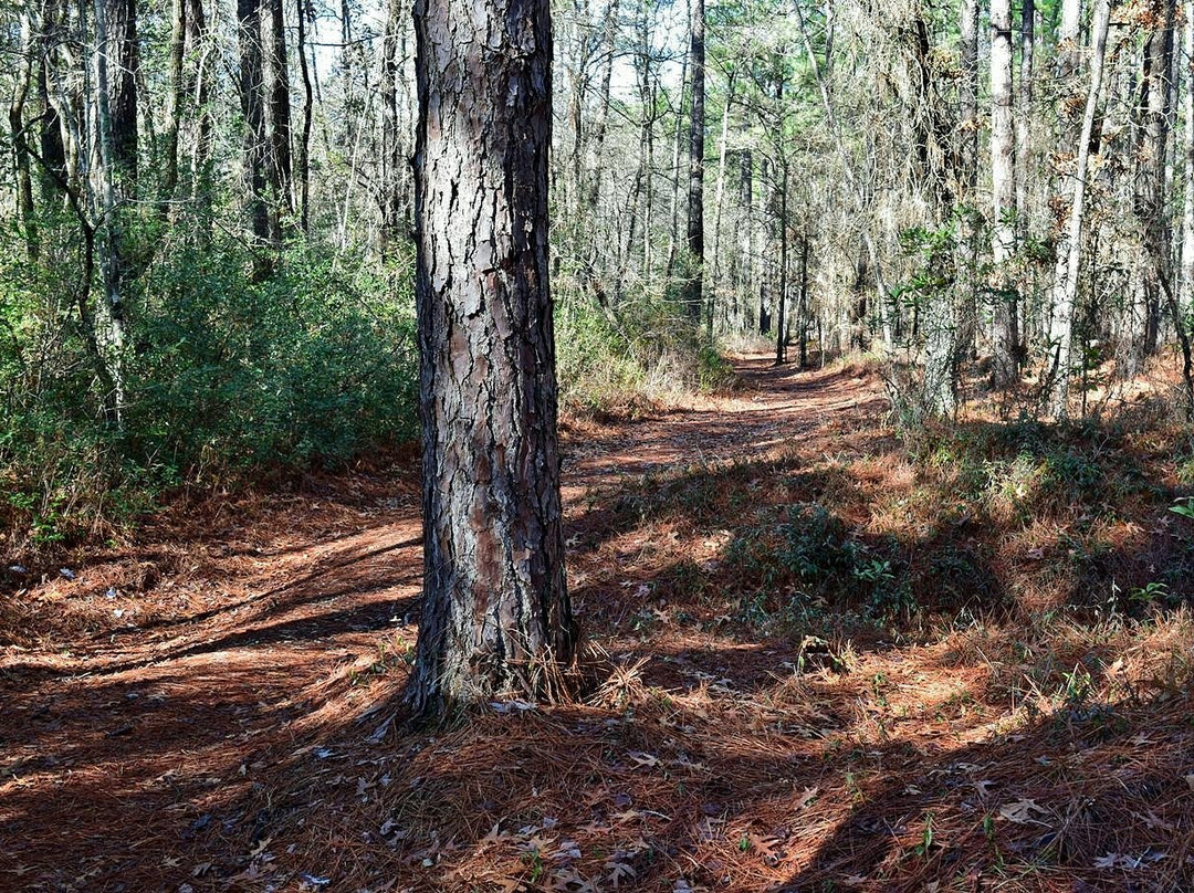 Jones Lake State Park景点图片