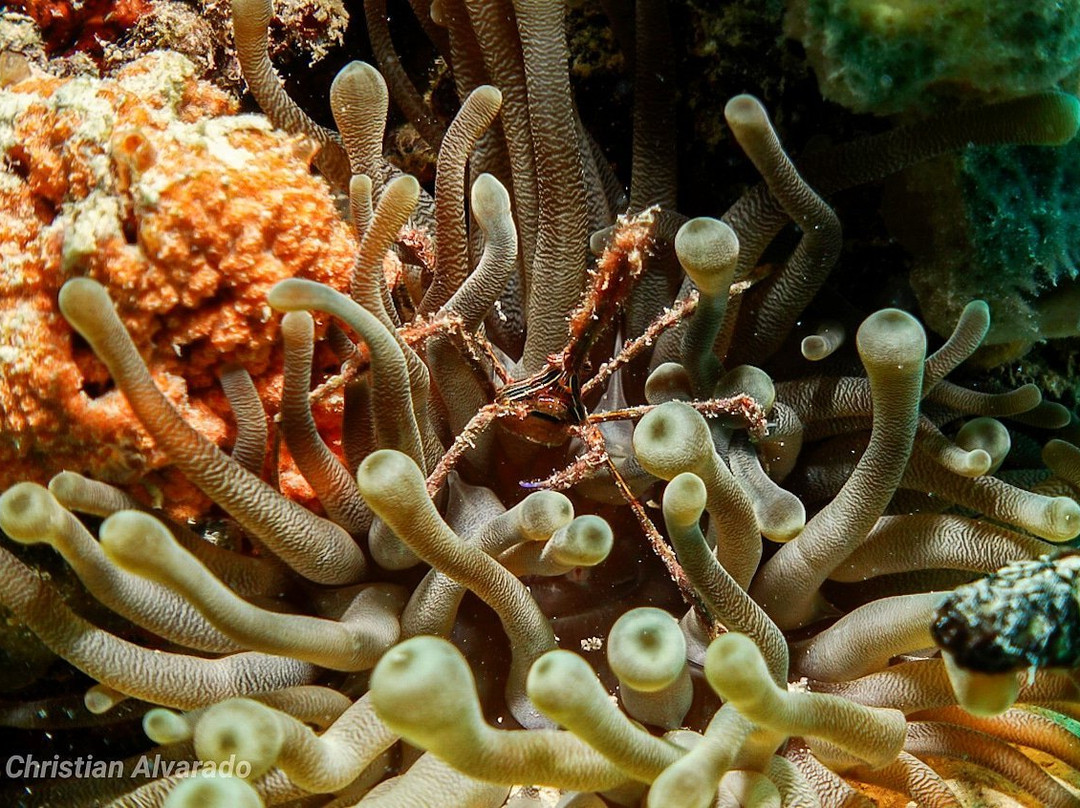 Global Dr Tours-巴瓦罗必去景点