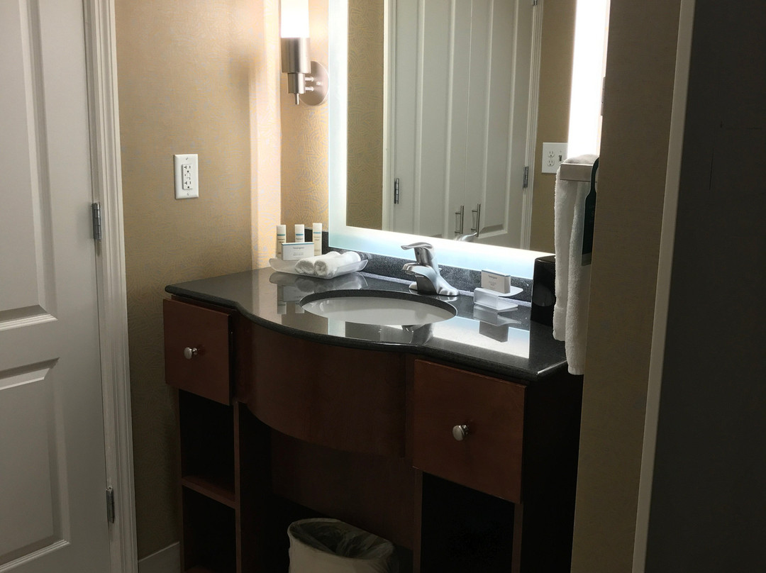 Homewood Suites By Hilton Wilmington/mayfaire, Nc主图