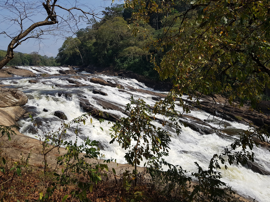 Vazhachal Falls景点图片