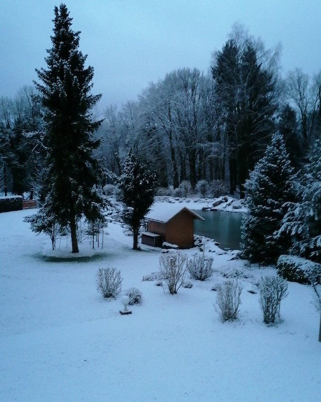 Veldensteiner Forst主图