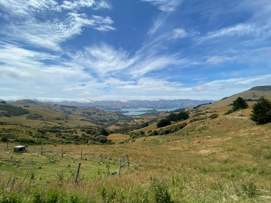 Akaroa French Connection-基督城必去景点