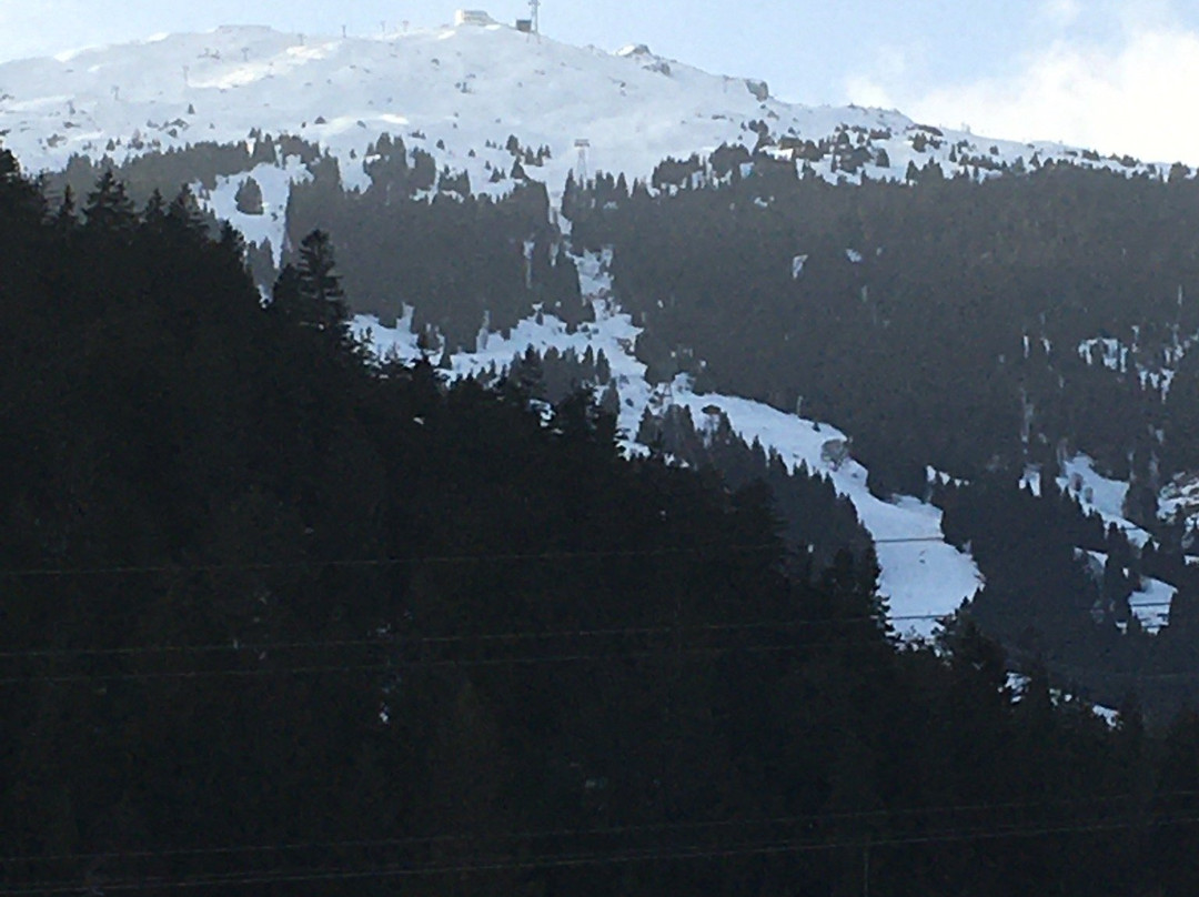 Alpen Arena景点图片