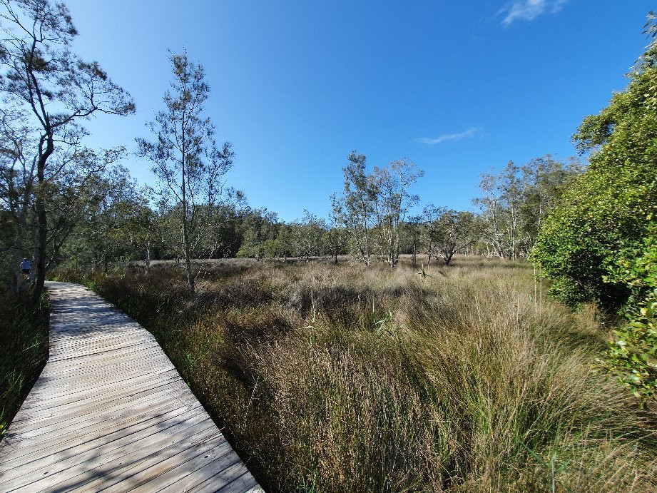 Kooloonbung Creek Nature Park-麦克夸利港必去景点
