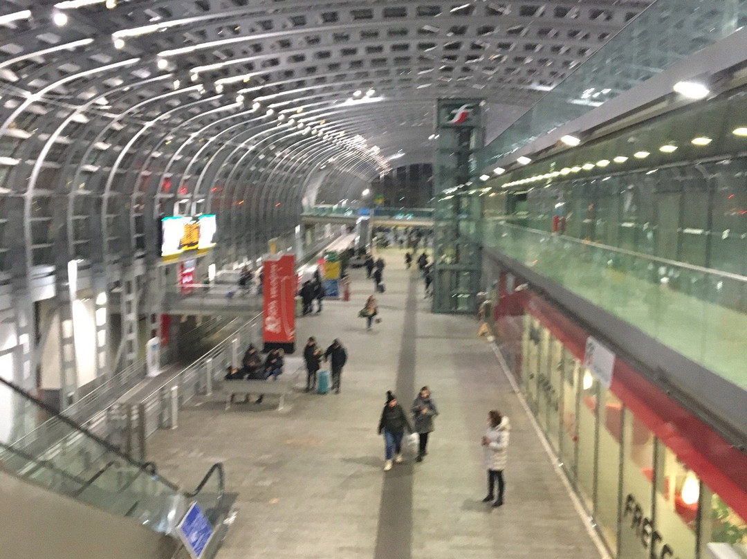 Stazione Alta Velocità Torino Porta Susa景点图片