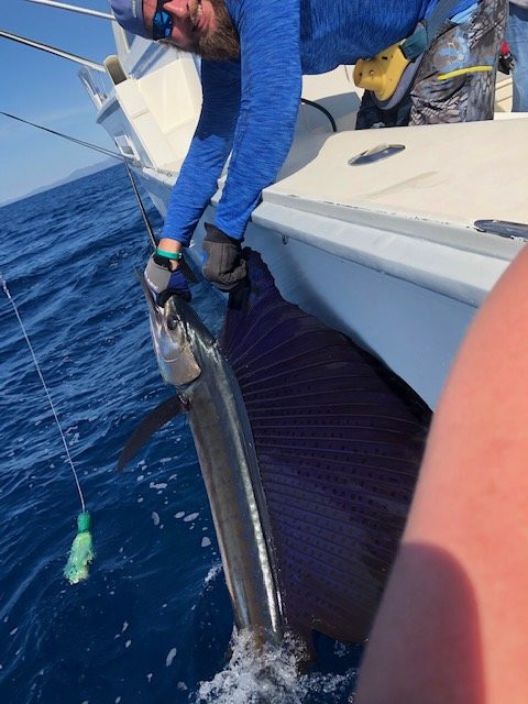 Bushwacker Sportfishing景点图片