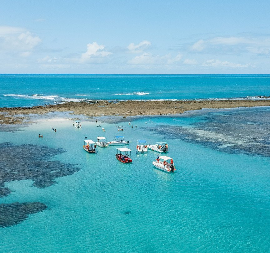 Piscinas Naturais De Japaratinga-Japaratinga必去景点