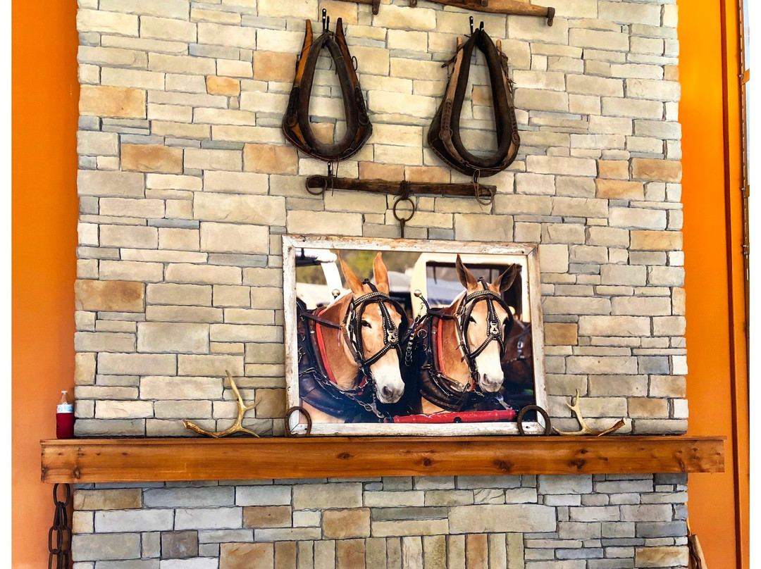 Timberland Park-富兰克林必去景点