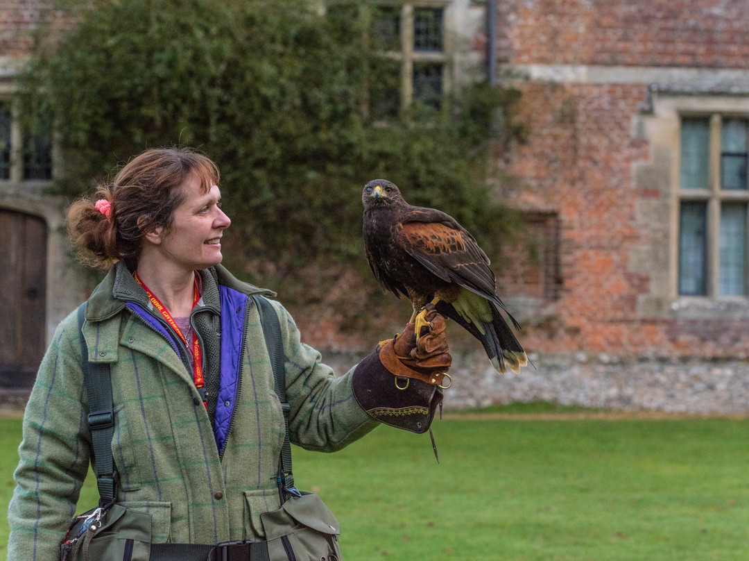 Chawton House East主图