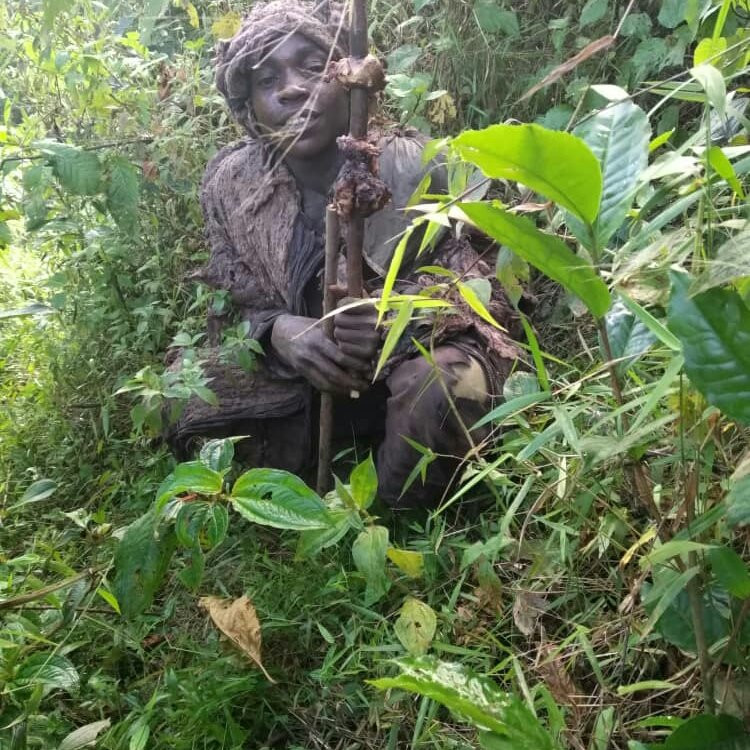 Bwindi Impenetrable Forest-Western Region必去景点