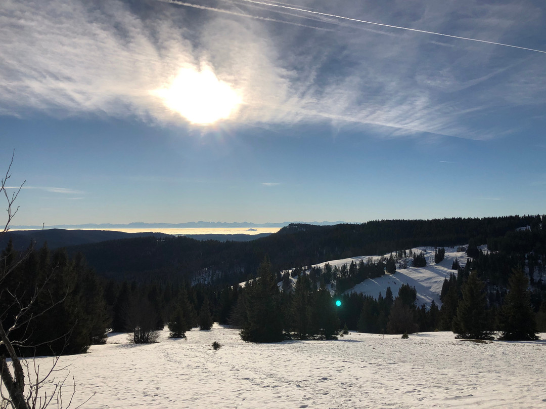 Premiumwanderweg-菲尔德山必去景点