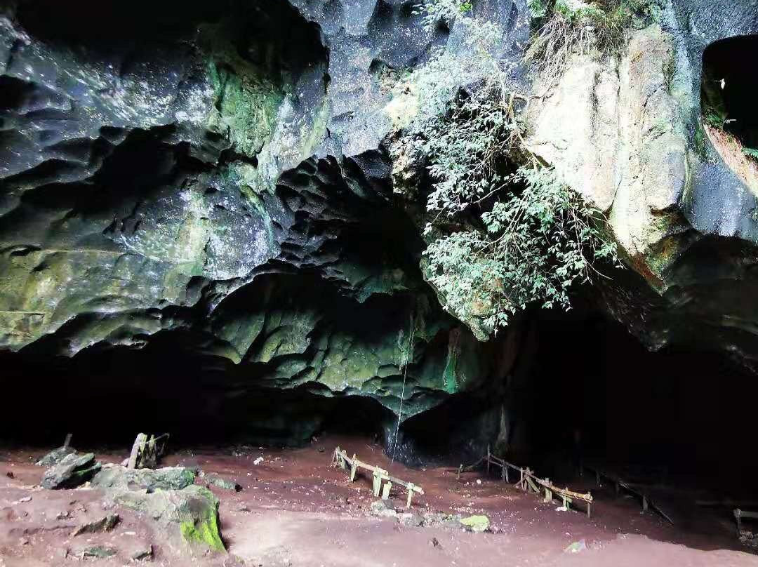 Madai - Baturong Forest Reserve Nature Centre-古纳必去景点