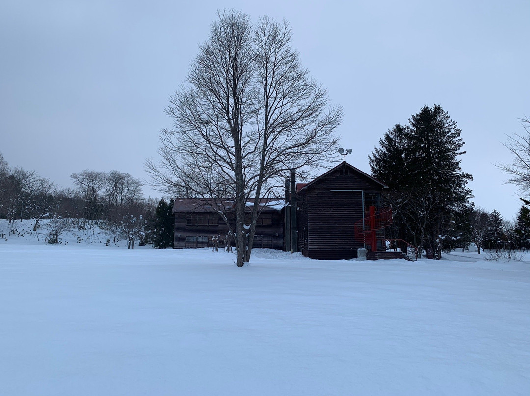 呗森林美术舘-美呗市必去景点
