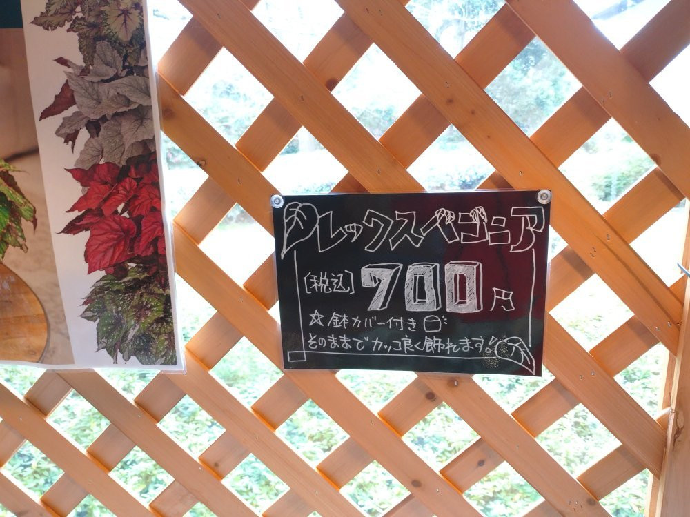 Begonia Garden-桑名市必去景点