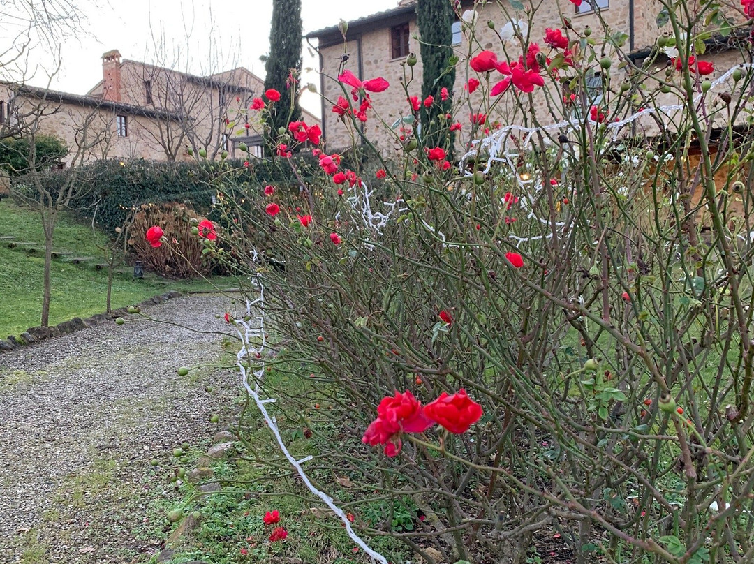 Borgo al Cerro主图