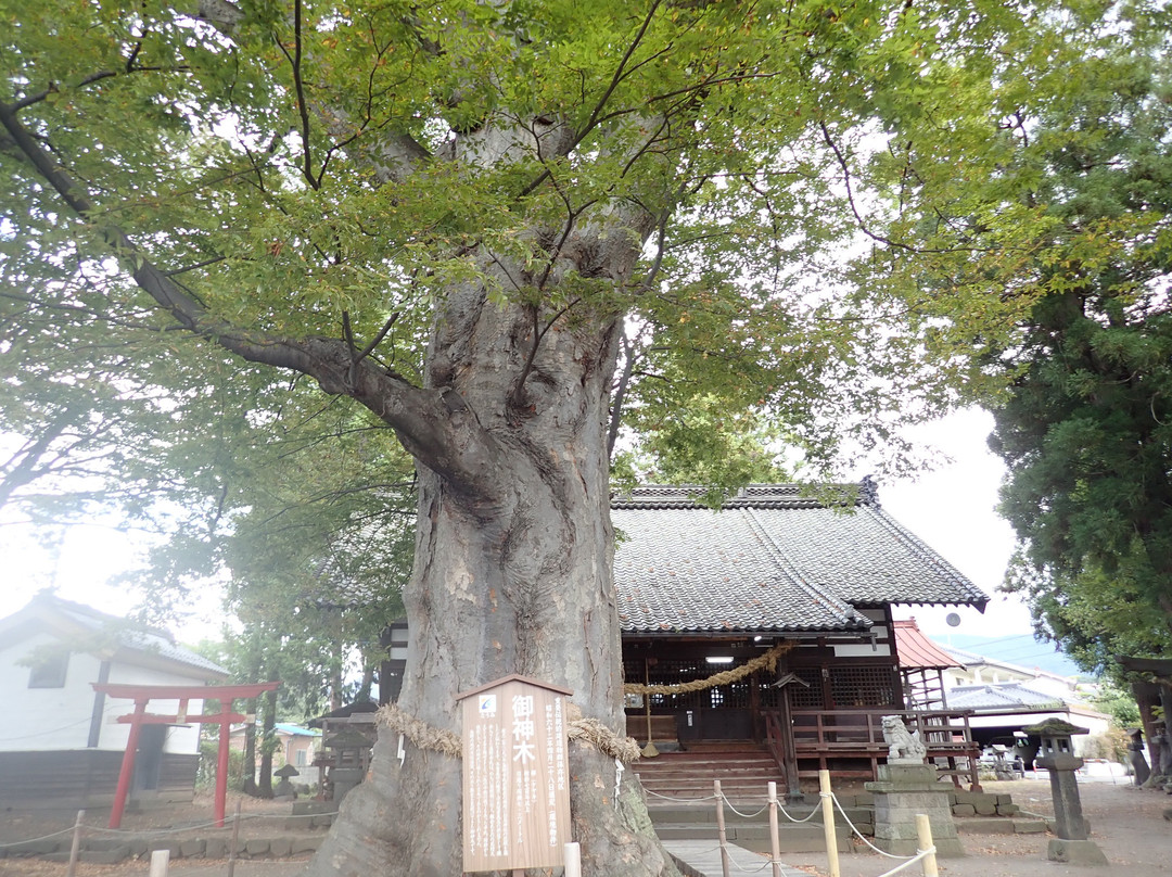 Shiratori Shrine-东御市必去景点