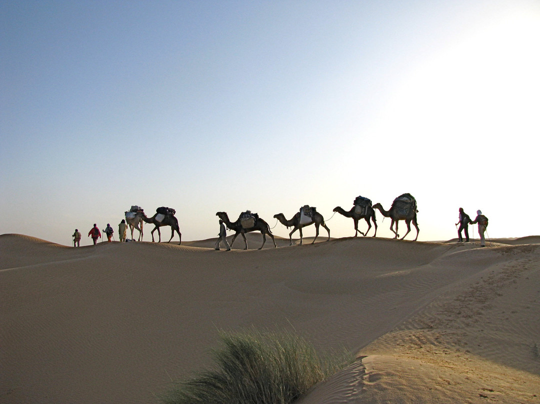 Grand Sud-杜兹必去景点