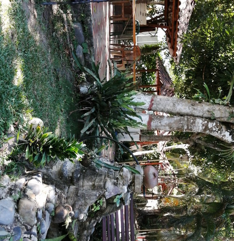 Hotel Campestre La Gaitana主图