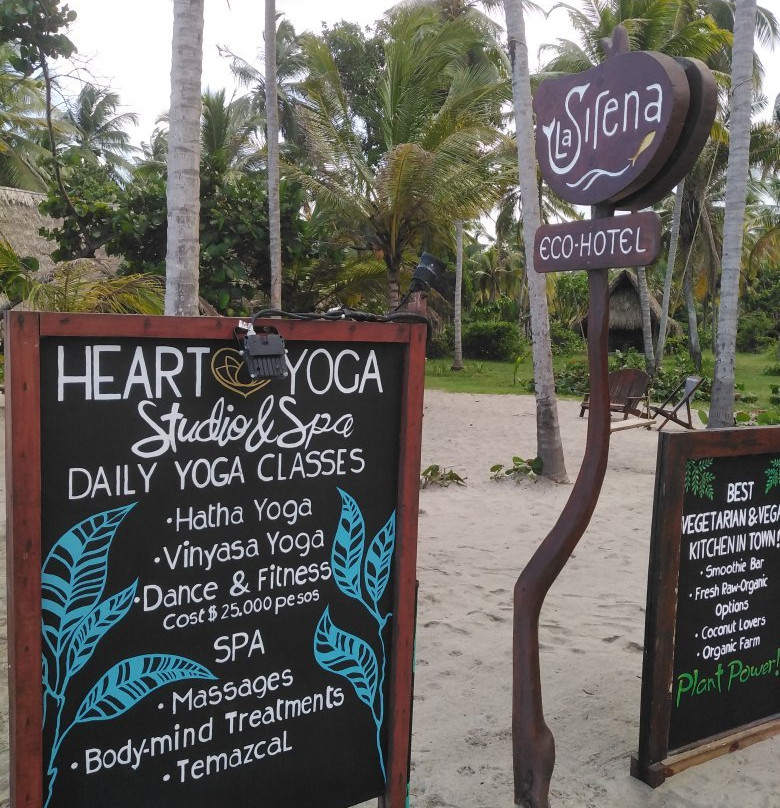 La Sirena Nature Retreat主图