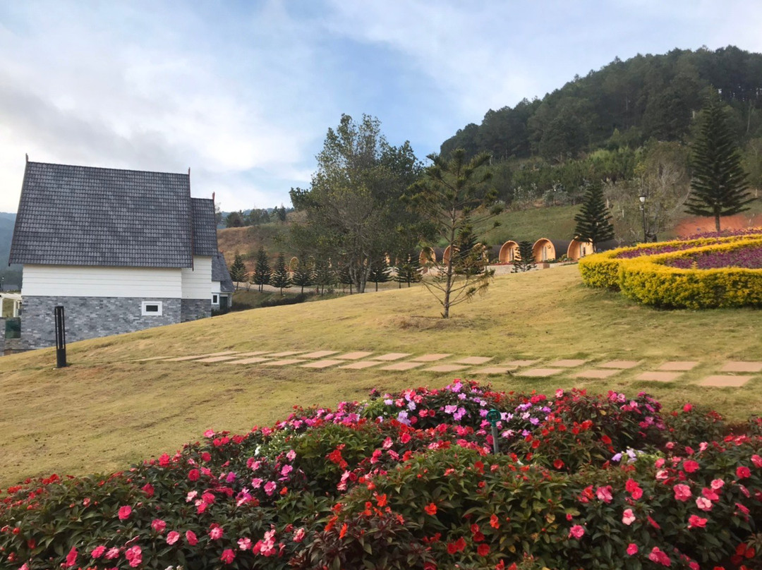 Dalat Wonder Resort主图