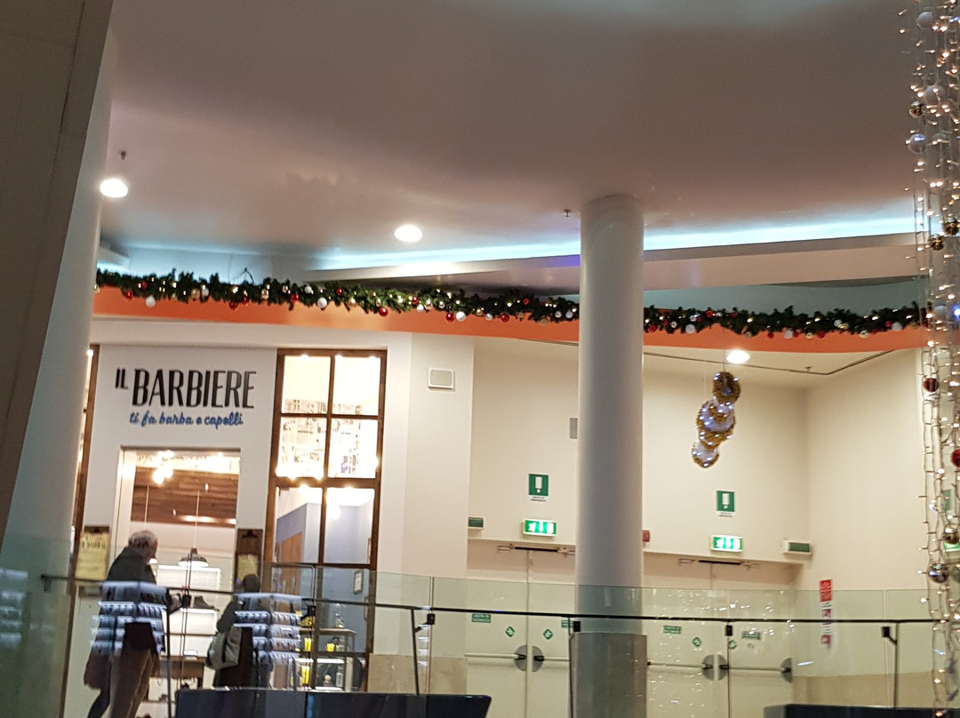 Galleria Borromea景点图片