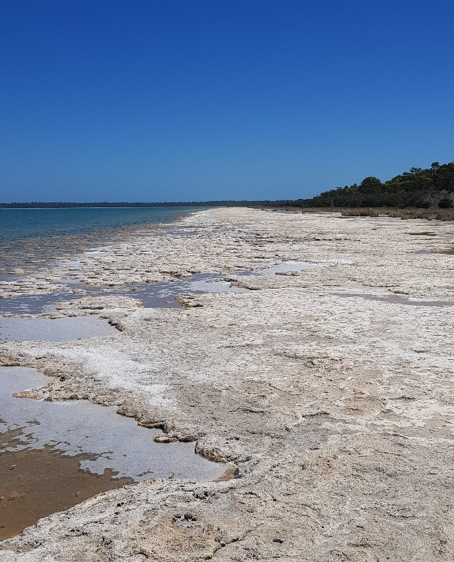 Mandurah Wine Tours景点图片