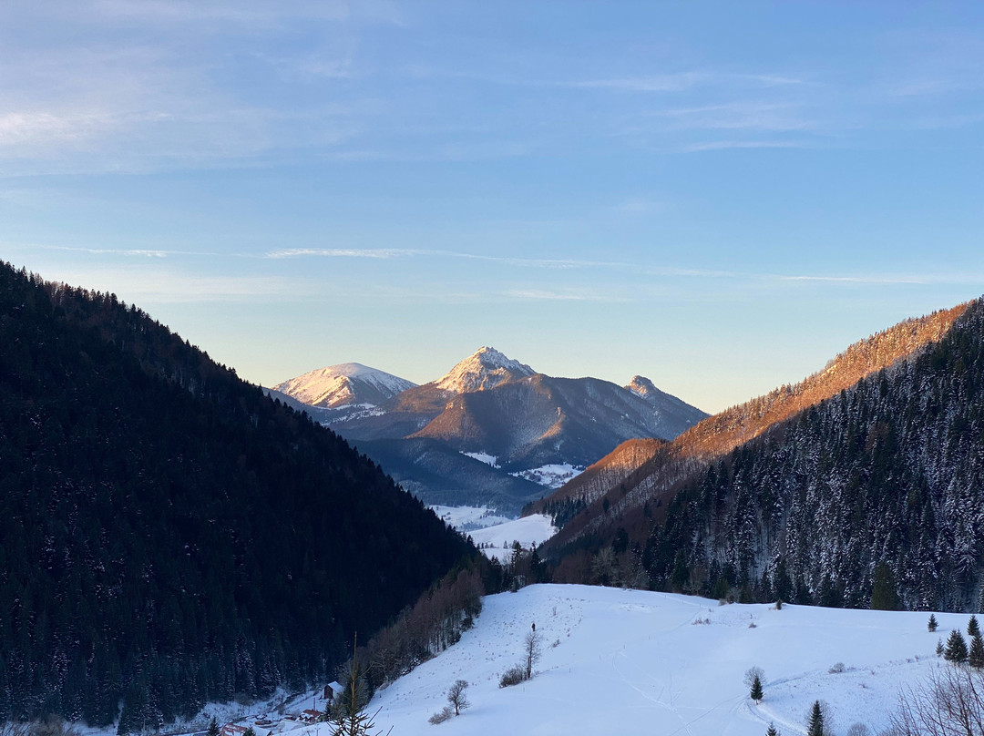 Hotel Havrania主图