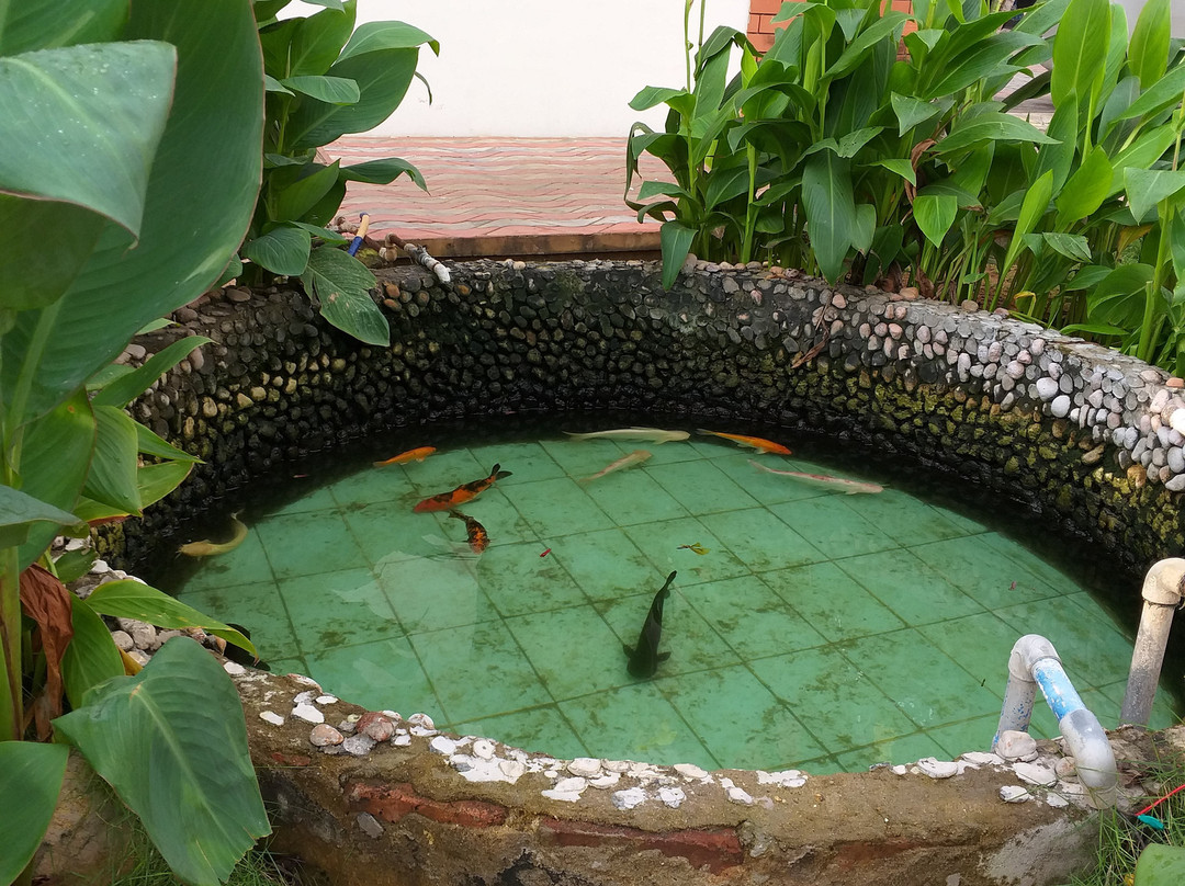 Seagate Church View Resorts主图