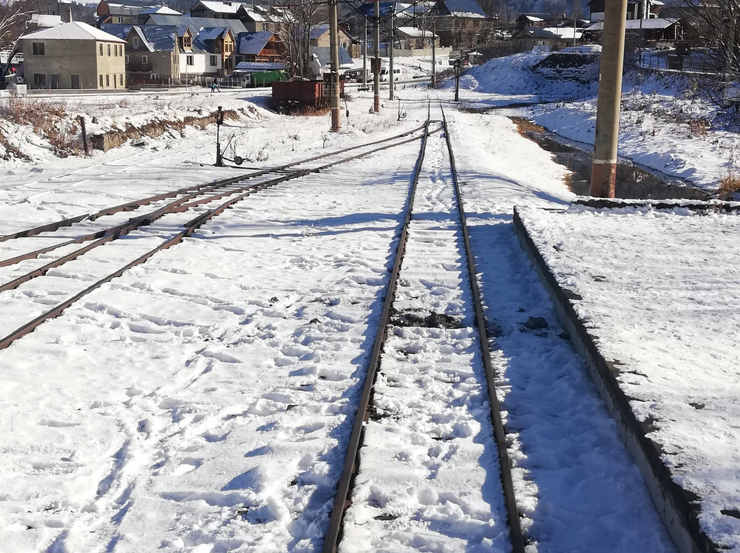 Borjomi-Bakuriani Railway景点图片