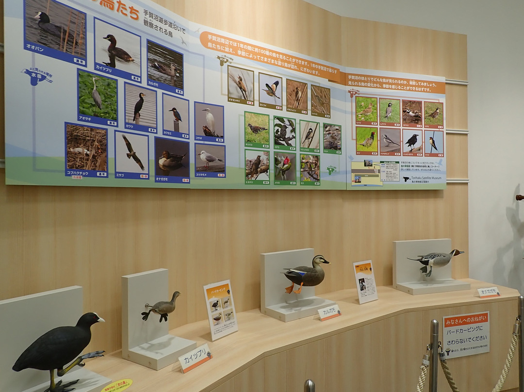 Teganuma Shinsui Plaza & Mizu no Yakata-我孙子市必去景点