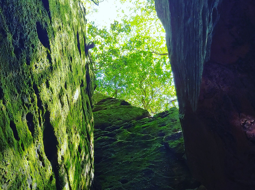 Dismals Canyon景点图片