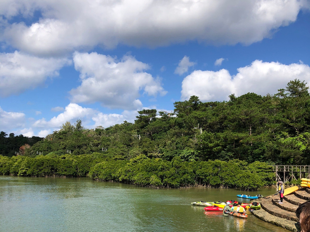Gesashi Bay's Mangrove Forest景点图片