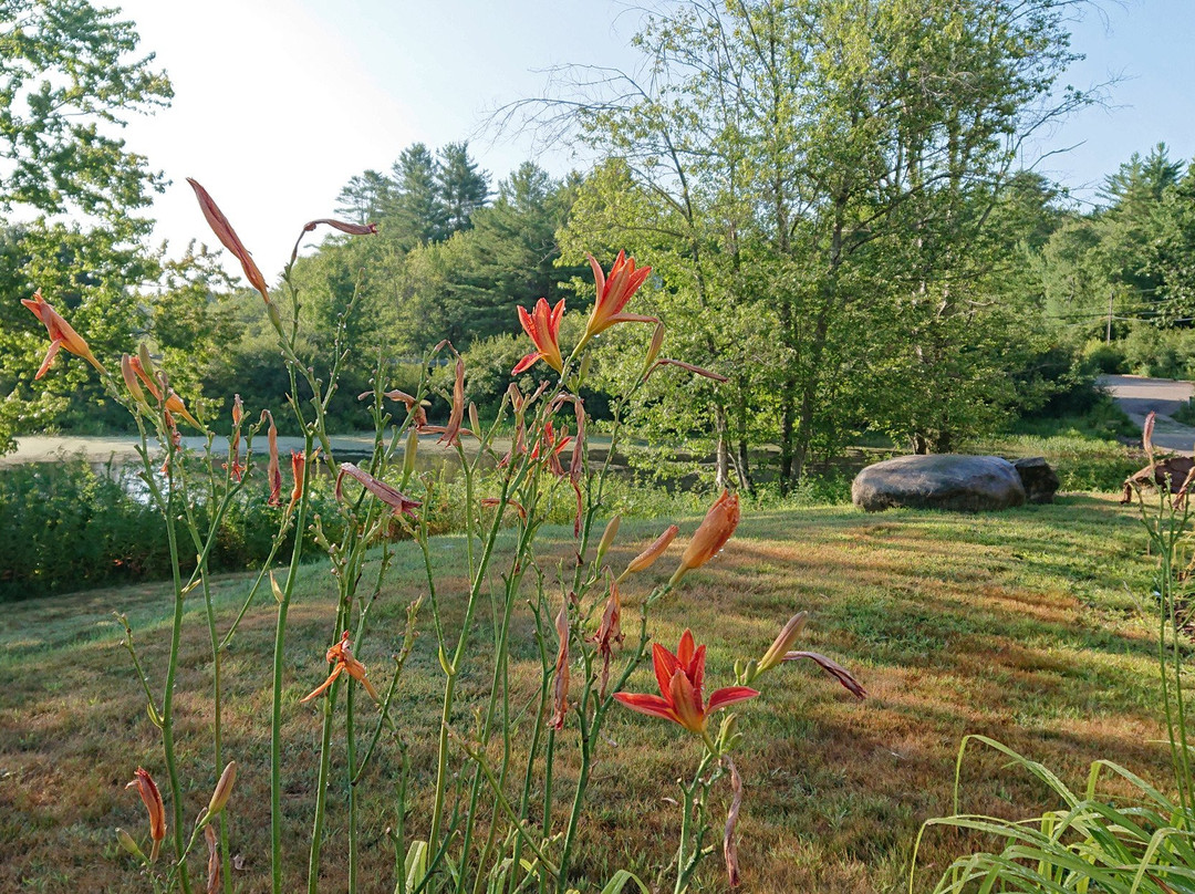 蒂尔顿快捷假日&套房酒店主图
