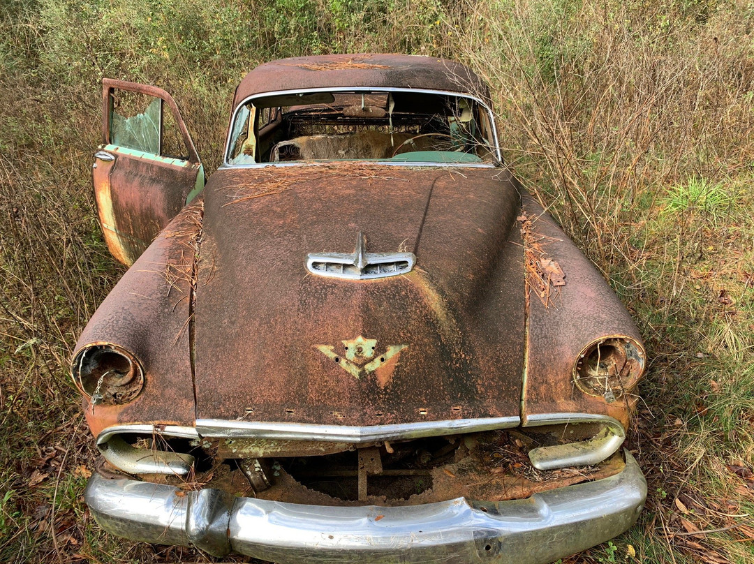 Roadside Rusted Ford Trucks-Crawfordville必去景点