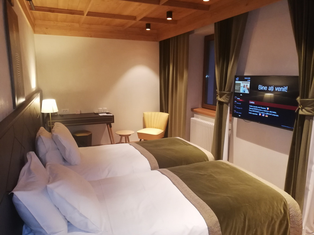 Ana Hotels Bradul Poiana Brașov主图