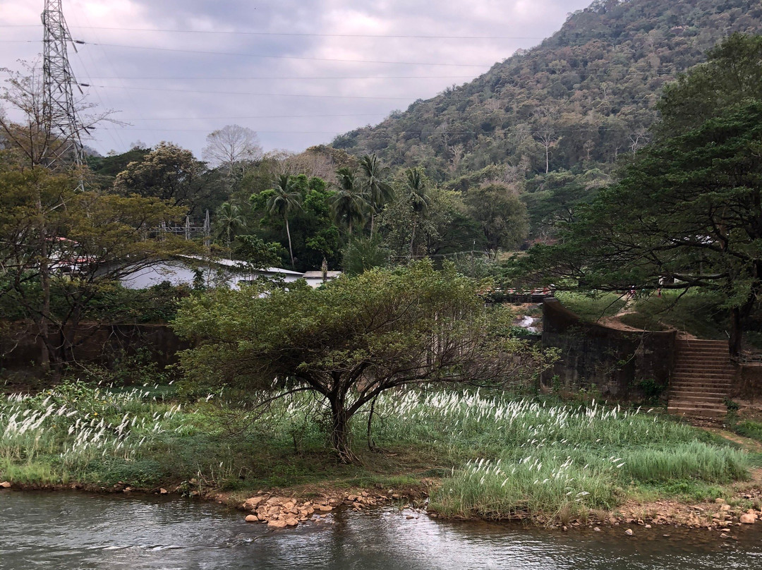 Thenmala Ecotourism-Thenmala必去景点