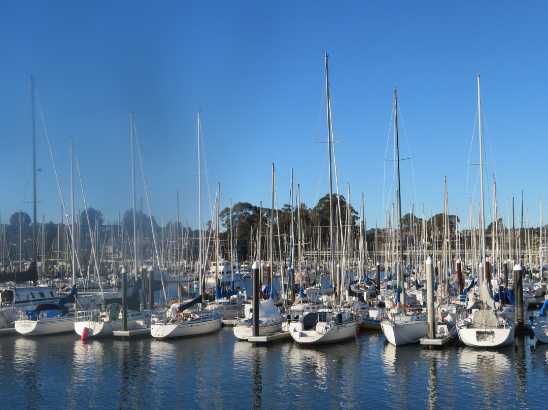 Santa Cruz Harbor-圣克鲁斯必去景点