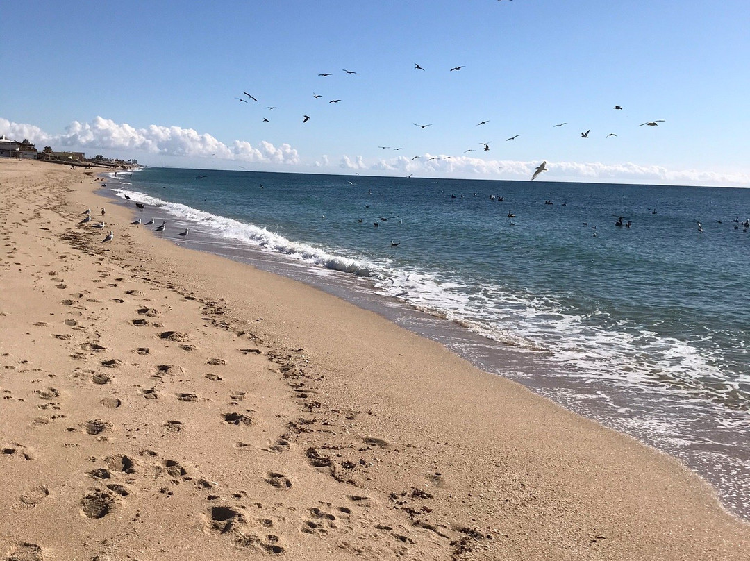 Hospedaje Mulege主图