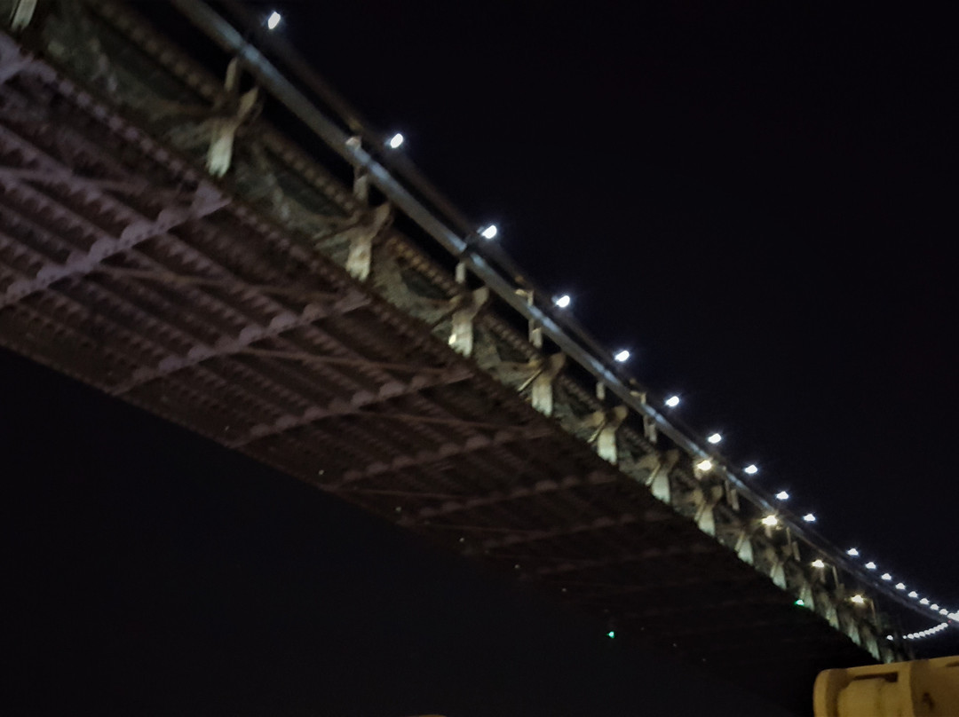 Verrazano Narrows Bridge-布鲁克林必去景点