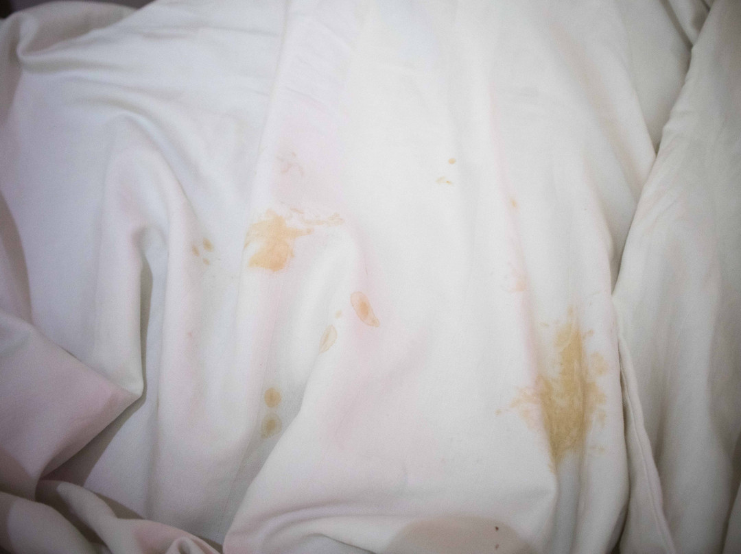 QHotel Sangata主图