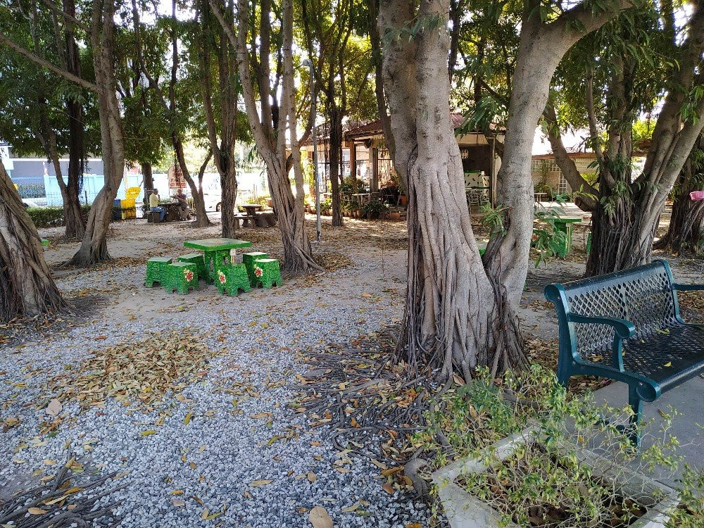 Sea Side Park-是拉差必去景点