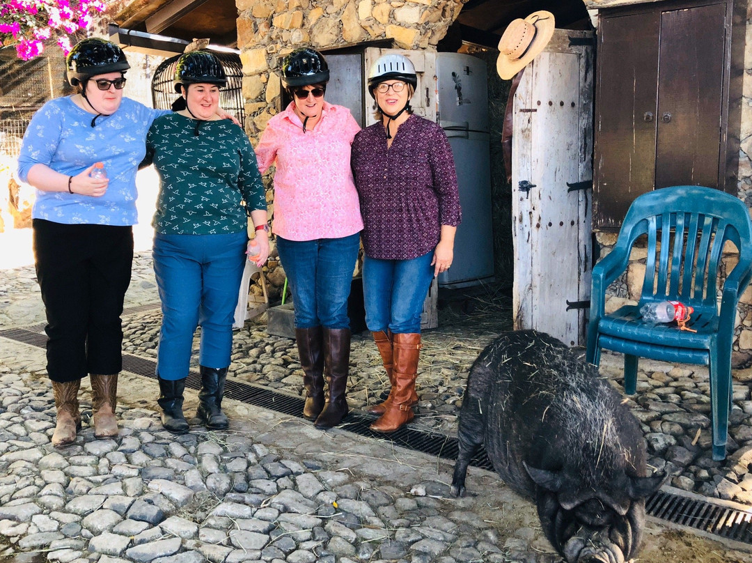 Rancho San Francisco-Chapala必去景点