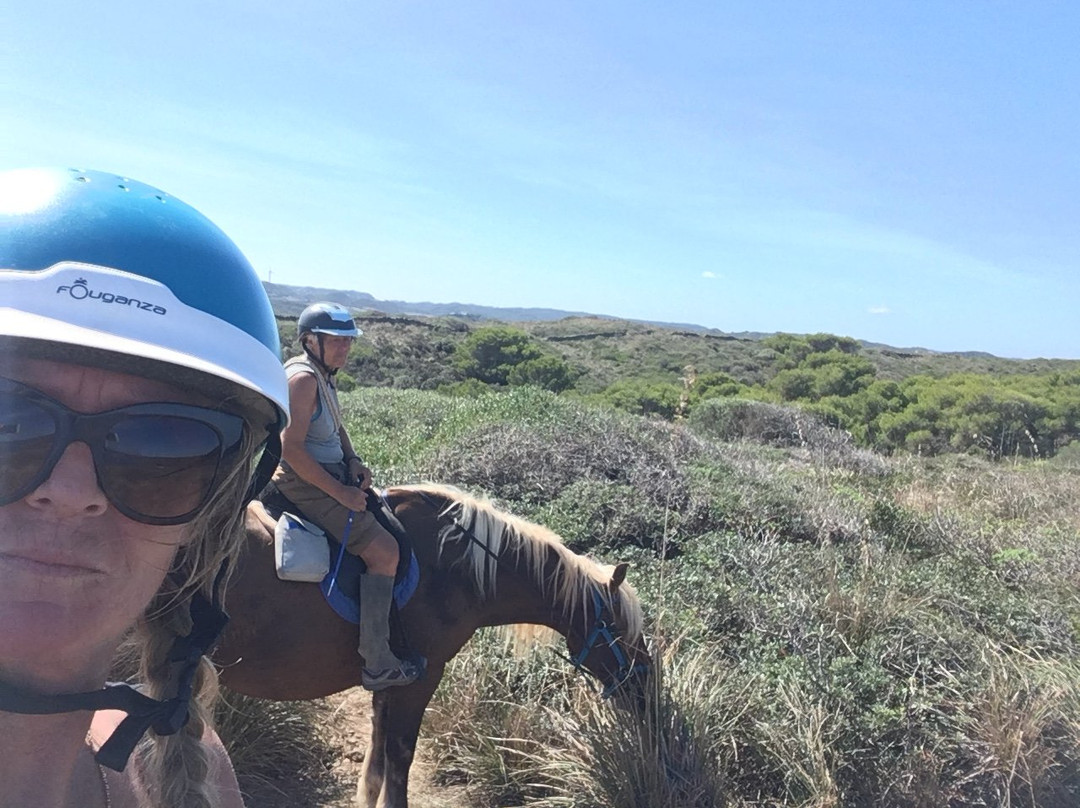 Menorca Horse Riding景点图片