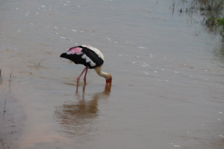 Earth Lanka tours-卡塔拉伽马必去景点