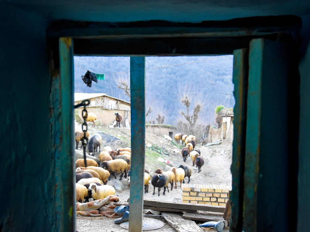 Minudasht旅游攻略图片