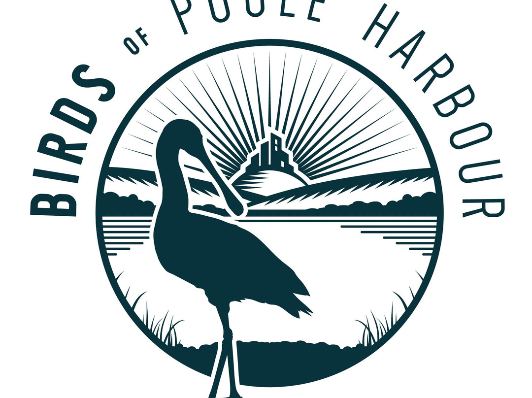 Birds Of Poole Harbour Events景点图片