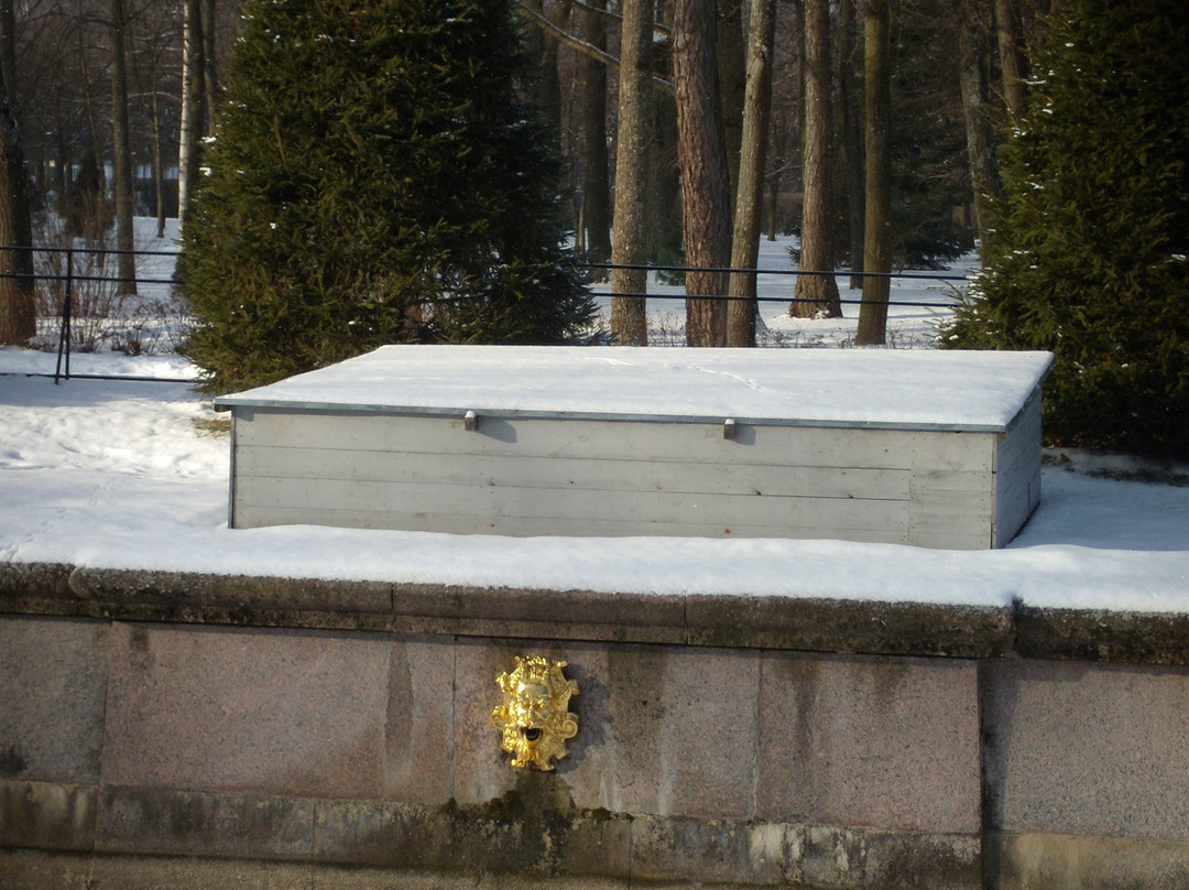 Peterhof  State Museum Preserve景点图片